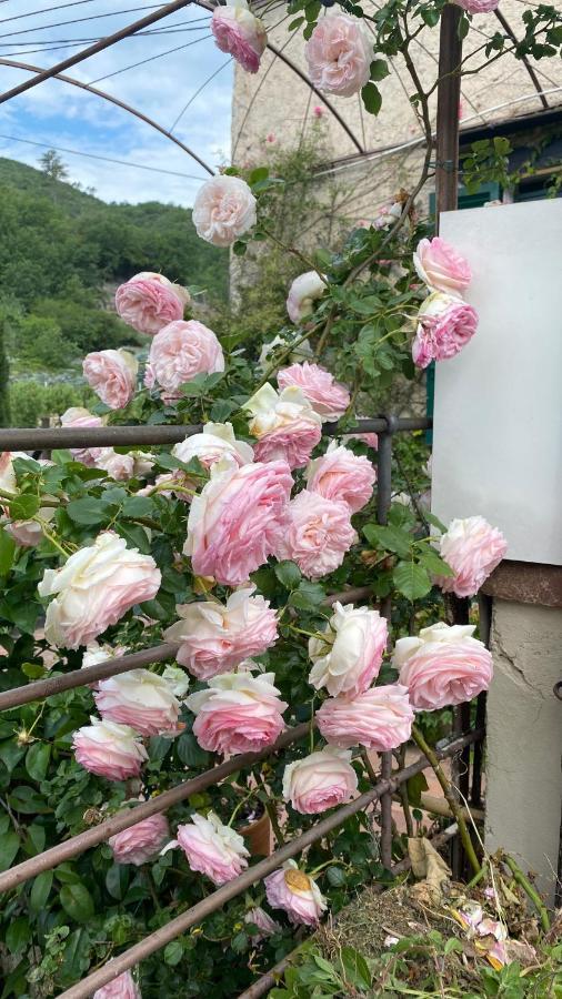 La Casa Di Giobatta Bed & Breakfast Tovo San Giacomo ภายนอก รูปภาพ